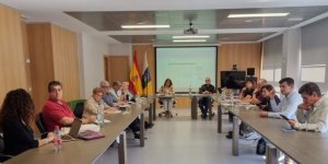 La directora del SCS mantiene una reunión de coordinación sobre planes de contingencia de urgencias hospitalarias