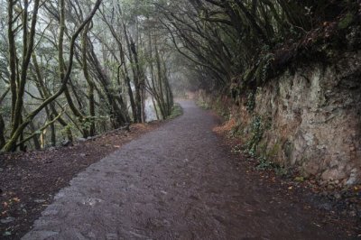 La Gomera: El Cabildo licita los trabajos de mejora paisajística y de accesibilidad a El Cedro - Las Mimbreras