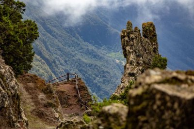 La naturaleza de Canarias inspira proyectos de innovación social