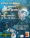 Agaete: Buceo Agaete, dive center