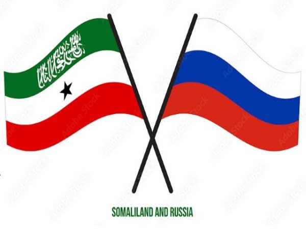 Art&iacute;culo de opini&oacute;n: 'Rusia deber&iacute;a buscar una base naval en Somalilandia ya que Sud&aacute;n sigue d&aacute;ndole vueltas'