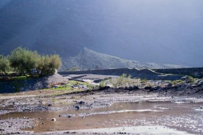 La Gomera: El Cabildo rebaja el PEIN a alerta y mantiene la aplicaci&oacute;n de medidas preventivas (V&iacute;deo)