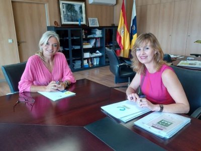 Esther Monz&oacute;n mantiene una reuni&oacute;n de trabajo con el Colegio Oficial de Enfermer&iacute;a de Las Palmas