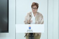 Canarias, satisfecha con el nuevo auto del Supremo que refrenda su posici&oacute;n sobre el traslado de menores asilados