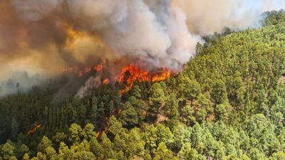 El Gobierno declara el nivel 2 del INFOCA y asume la direcci&oacute;n del incendio forestal declarado en Tenerife