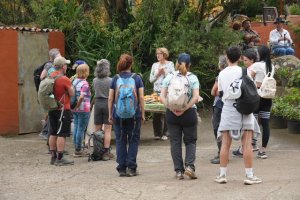 Gu&iacute;a: La ruta &lsquo;Quesos y pastores de Gu&iacute;a&rsquo; deja un &ldquo;buen sabor&rdquo; entre sus participantes