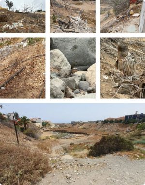 Turcón coordina esfuerzos con ECONARA para mejorar las condiciones ambientales del Barranco de Las Bachilleras-Hoya del Pozo