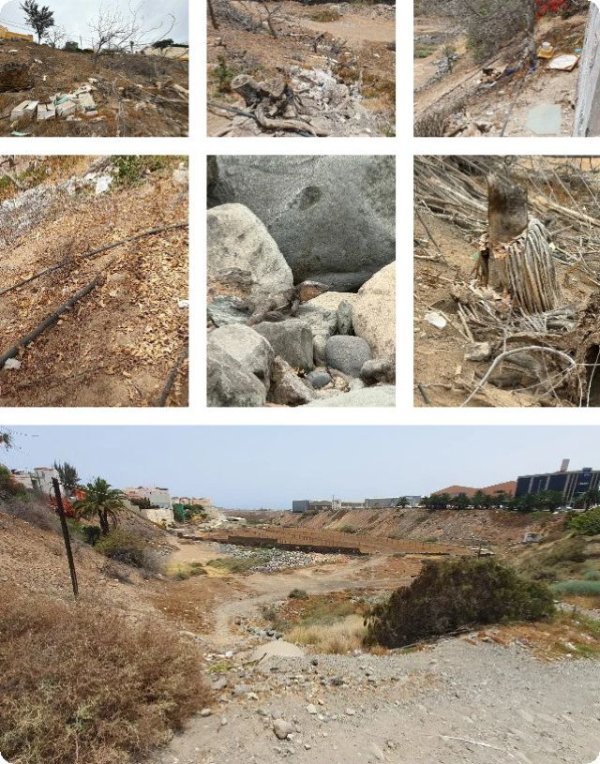 Turcón coordina esfuerzos con ECONARA para mejorar las condiciones ambientales del Barranco de Las Bachilleras-Hoya del Pozo