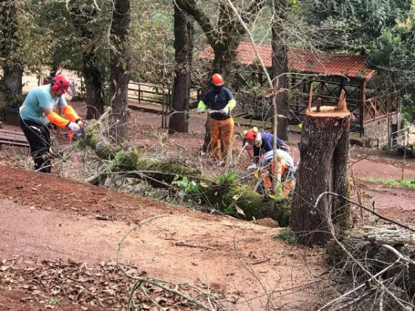 El Ayuntamiento de Valleseco ha formado a una veintena de personas en labores de la motosierra