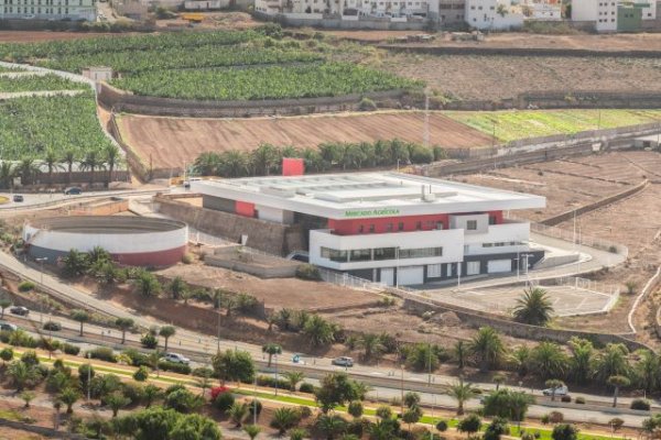 El Mercado de Guía abrirá sus puertas el próximo 22 de diciembre