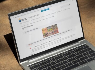 Aumenta un 49% el n&uacute;mero de centros inscritos en este curso para las actividades extraescolares y complementarias