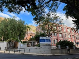 El Sistema de Vigilancia Entomológica de Canarias detecta dos larvas del mosquito Aedes Aegypti en La Palma