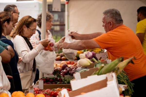 El Mercado Agr&iacute;cola de G&aacute;ldar vuelve a reunir a productores y consumidores en la Plaza de Santiago