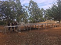 La Finca de Las Huertecillas de Firgas se prepara para el festival &#039;Soltura&#039;