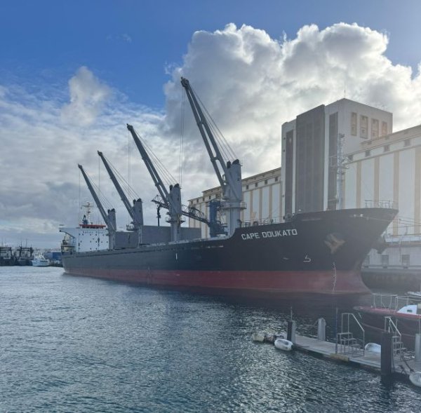 El Puerto de Las Palmas recibe al buque Cape Doukato con 25.500 toneladas de maíz brasileño para consumo ganadero