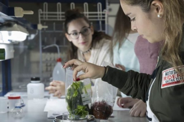 Mujeres vinculadas con el conocimiento muestran en la SCIC22 su contribución a la ciencia y la innovación