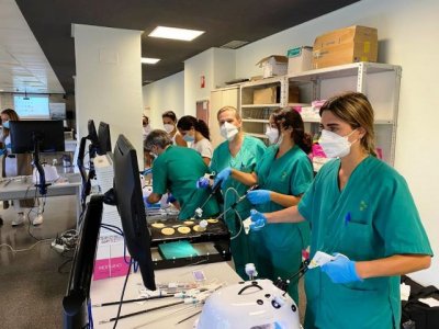 El Hospital Dr. Negr&iacute;n organiza un curso de Cirug&iacute;a Experimental sobre T&eacute;cnicas Laparosc&oacute;picas en Urgencias