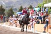 Santa Brígida celebra el Gran Día del Caballo en Pino Santo Alto