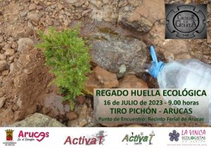 Arucas: El domingo 16 de julio se convoca una acción de riego de las repoblaciones en la zona de Tiro Pichón