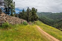 El Ayuntamiento de G&aacute;ldar licita el proyecto de acondicionamiento del Camino de Santiago entre Volcanes