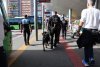 La Consejer&iacute;a de Presidencia forma a agentes de la Polic&iacute;a Auton&oacute;mica y Local en la detecci&oacute;n de drogas con perros