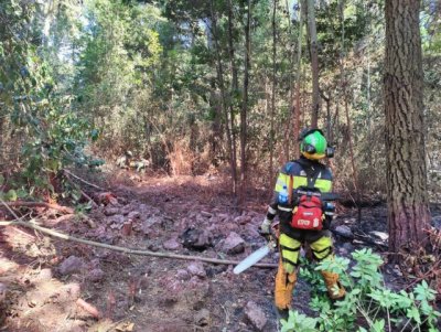 Actualizaci&oacute;n de la situaci&oacute;n del incendio forestal de Tenerife