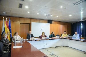 El Gobierno presenta a los alcaldes el decreto de vivienda y los de reconstrucción de La Palma