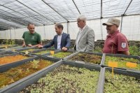 Transici&oacute;n impulsa un Banco de Semillas para preservar la biodiversidad y el patrimonio agr&iacute;cola de El Hierro