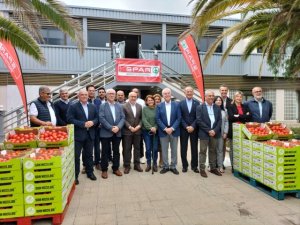 La Aldea de San Nicol&aacute;s refuerza su respaldo al sector del tomate a trav&eacute;s del convenio entre SPAR y COAGRISAN