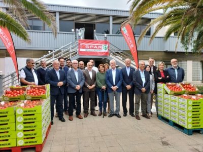 La Aldea de San Nicolás refuerza su respaldo al sector del tomate a través del convenio entre SPAR y COAGRISAN
