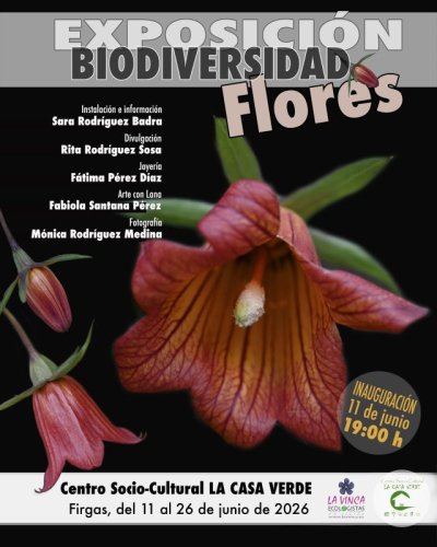 Villa de Firgas: La exposici&oacute;n &ldquo;Biodiversidad: FLORES&rdquo;, de Sara Rodr&iacute;guez, Fabiola Santana, Rita Rodr&iacute;guez, F&aacute;tima P&eacute;rez y M&oacute;nica Rodr&iacute;guez se inaugura el jueves 11 de junio en La Casa Verde