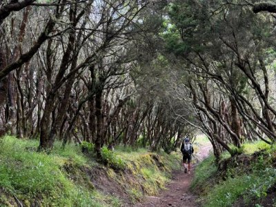 Dos blogueros checos visitan La Gomera como etapa final del recorrido GR-131 por las Islas Canarias