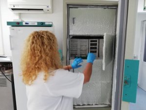 El HUC cuenta con una “ventanilla única” para sus investigadores