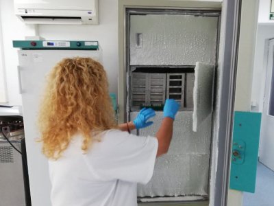 El HUC cuenta con una &ldquo;ventanilla &uacute;nica&rdquo; para sus investigadores