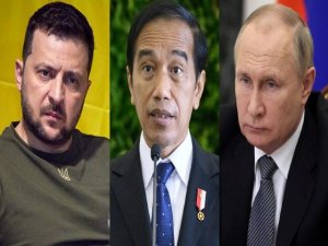 Criticar constructivamente el plan de paz de Indonesia