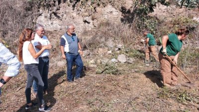 El Cabildo destina 477.000 euros a formar a 16 desempleados en trabajos del ámbito agrario y de jardinería
