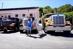 Valleseco se convierte en el epicentro del mundo del arriero y del transporte en Canarias