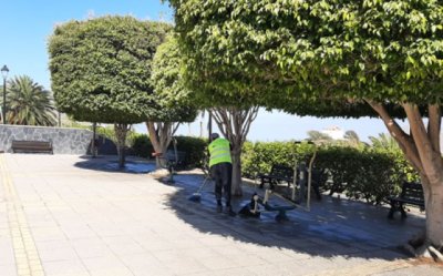 Gu&iacute;a: Los trabajadores del Programa de Empleo Social mejoran la imagen de los espacios p&uacute;blicos