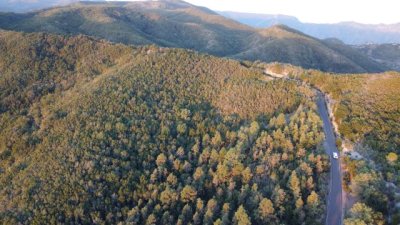 La Gomera: Notas de prensa del Cabildo y del Ayuntamiento de San Sebasti&aacute;n