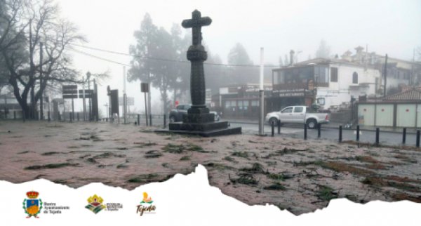 Tejeda: Concesión de Subvenciones «Filomena»