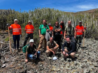 Canarias y Baleares unen esfuerzos para frenar la expansión de serpientes invasoras en las islas