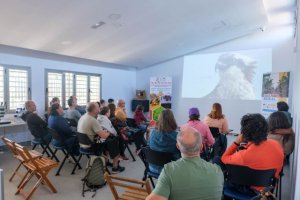 Abejas, búhos y lechuzas, protagonistas en el Aula de la Naturaleza de Verdejo en las medianías de Guía