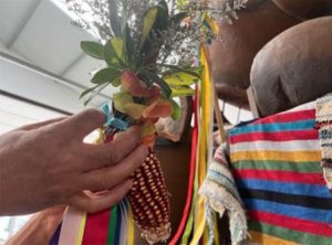 Agaete rinde homenaje a los alfareros de Canarias en su carreta de las Fiestas del Pino