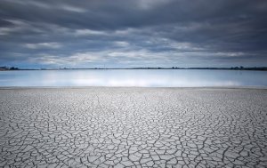 Paisajes de desolación y sequía copan los premios del Concurso de Fotografía del Mundo Rural 2022