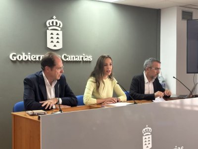 Las plazas de vivienda vacacional en Canarias suponen un 36% de la oferta frente al 18% de los apartamentos