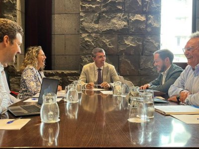 Manuel Dom&iacute;nguez dialoga con varias empresas para buscar alternativas a las carencias de la red el&eacute;ctrica