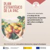 El Gobierno convoca las subvenciones del PEPAC para compromisos de gesti&oacute;n agroambientales en agricultura ecol&oacute;gica