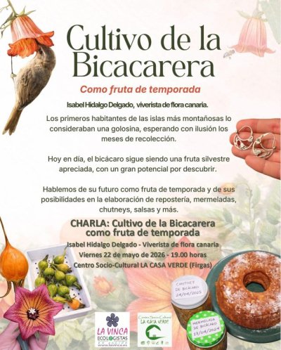 Firgas acoge el 22 de mayo la charla “Cultivo de la Bicacarera como fruta de temporada” a cargo de la viverista Isabel Hidalgo