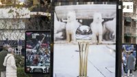 La Copa del Rey de baloncesto, 20 millones para Granada