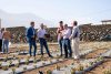 Los agricultores canarios notifican a las aseguradoras da&ntilde;os en 9.597 parcelas tras el paso de Dorothea